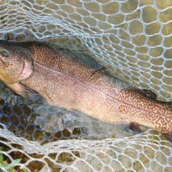 がら空きのフィッシングパーク高島の泉